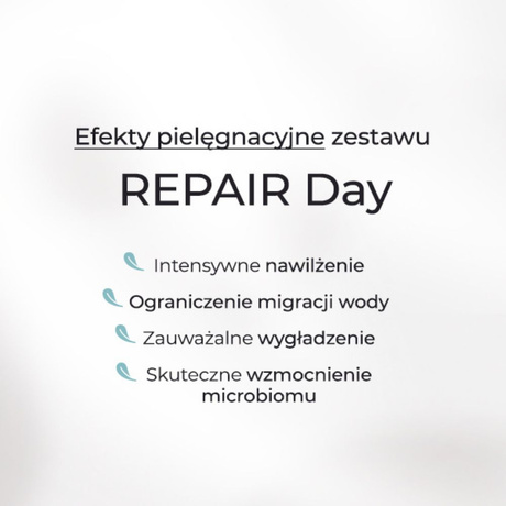 Zestaw REPAIR Day